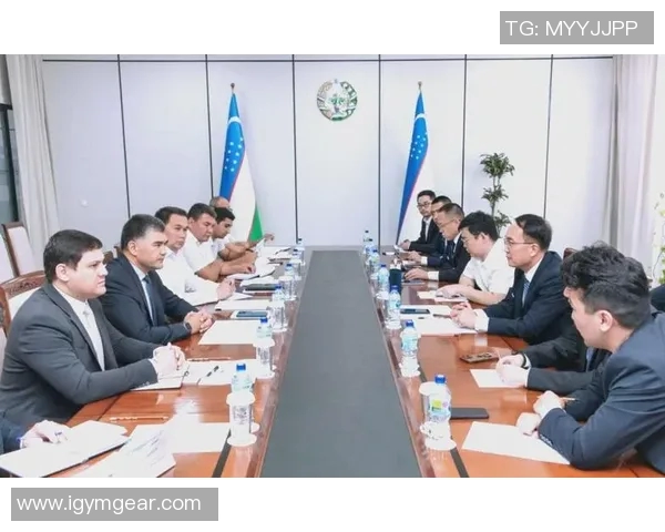 中国与乌兹别克斯坦的友好合作关系及其在经济文化领域的深度交流探讨